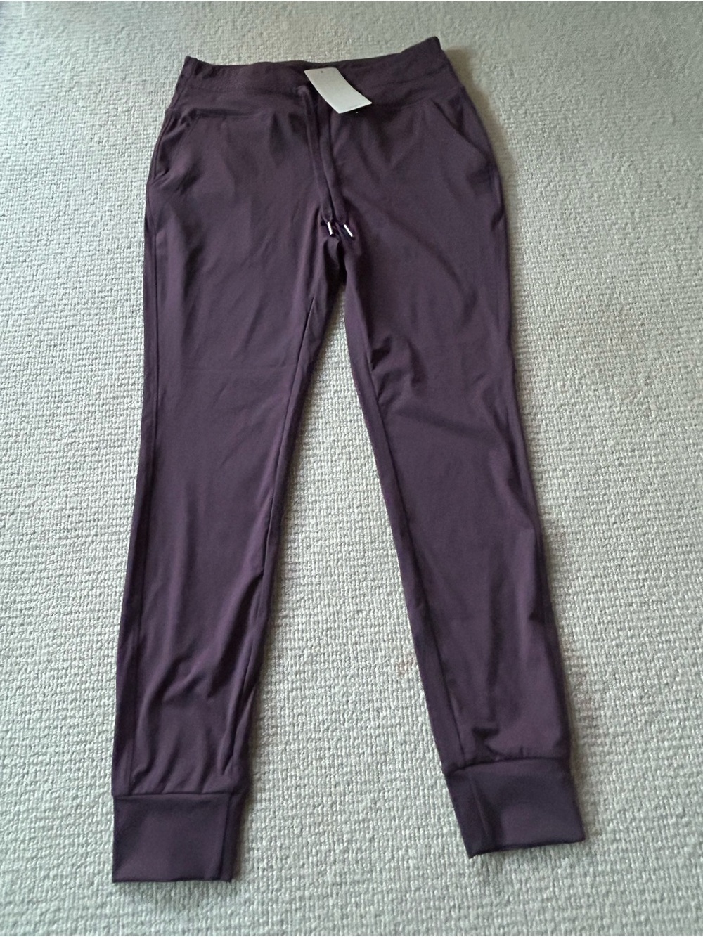 HALARA Deep Plum Legging Joggers